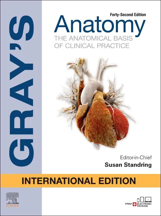 Gray’S Anatomy the anatomical basis of clinical practice 42/e 2020 (IE) By Susan Standring